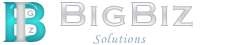 BigBizSolutions-logo